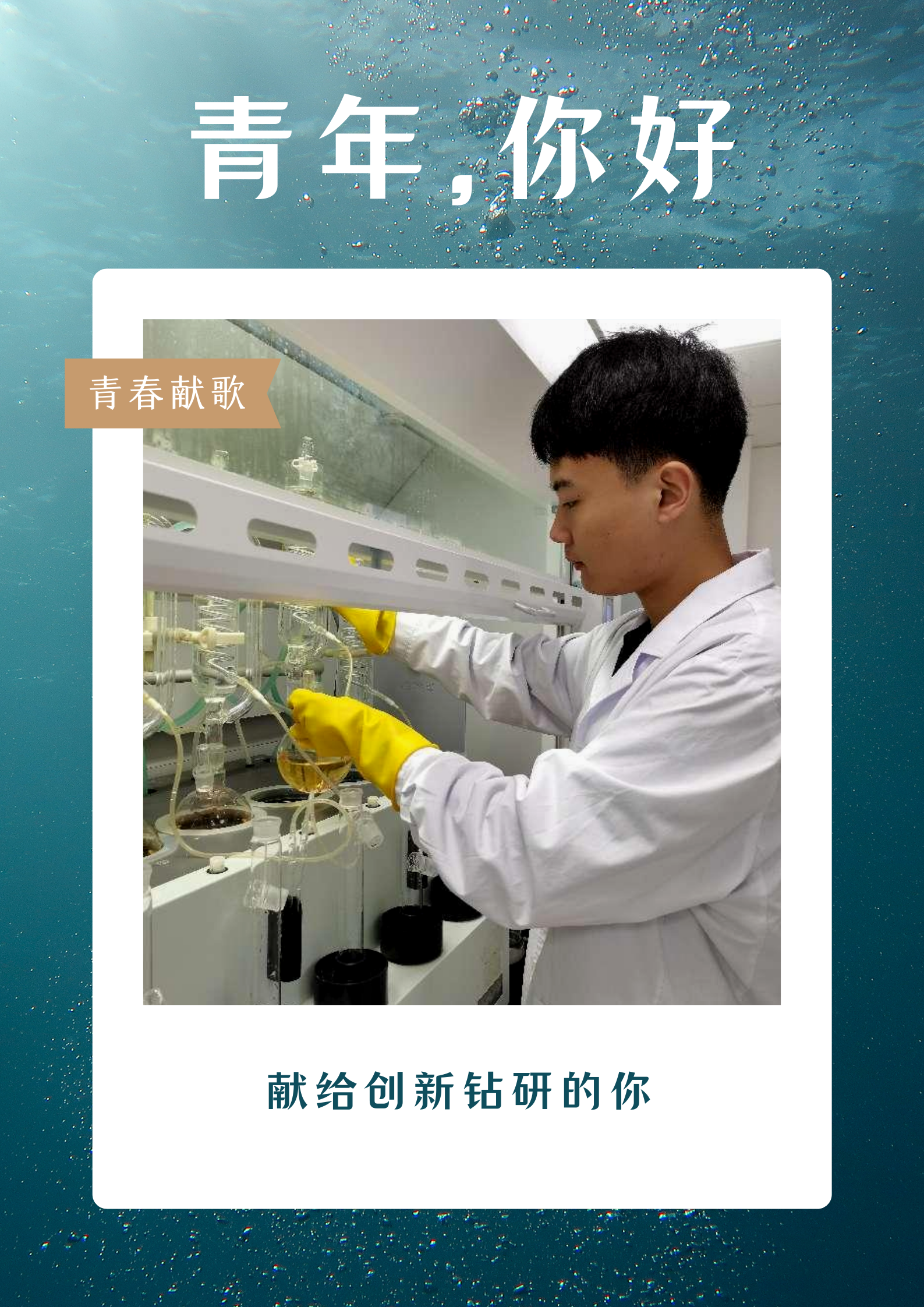 1651717189208816.png DATH2531.PNG