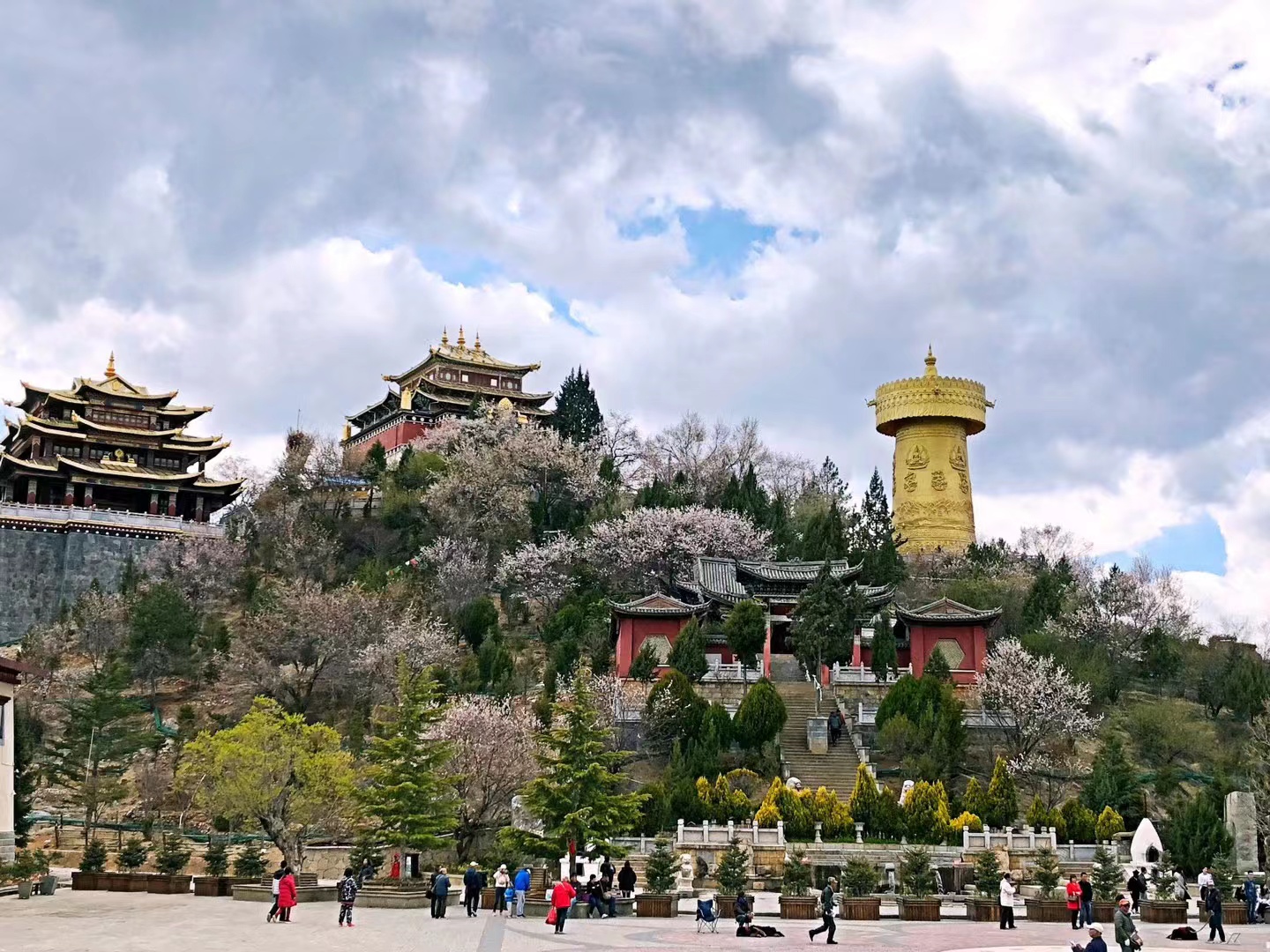 1652839331633739.jpg 許欣1.jpg